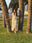 Ensemble crochet femme chic
